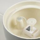Classic_waterfontain_pump.webp