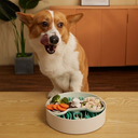 pet-fujture-puzzle-slow-feeder-voerpuzzel-25x8-cm-w.webp