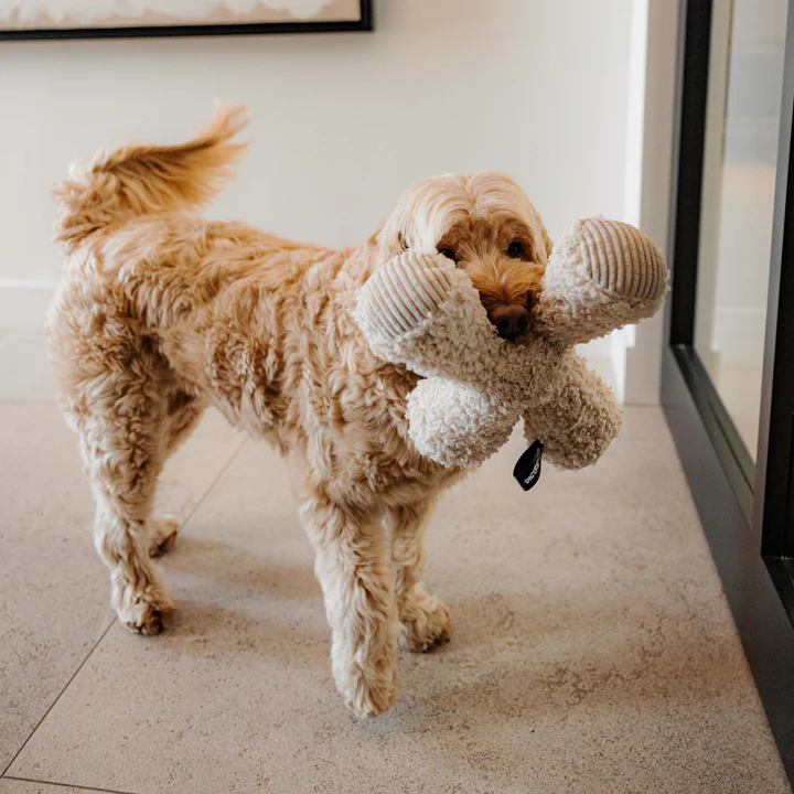 ZIGGY - Knisperend hondenspeelgoed (Merengue, Ø20 cm)