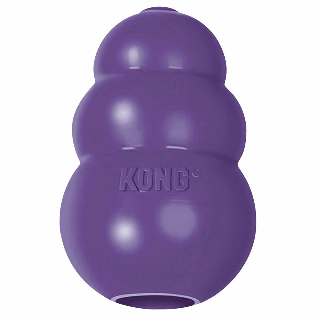 Kong Senior Paars