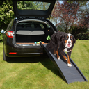 Loopplank Auto Plastic Easy Step (Tot 50Kg)