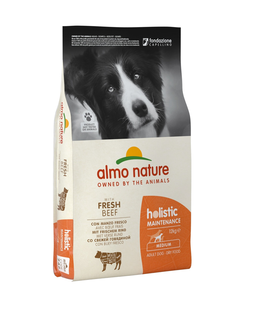 Almo Nature - Holistic Trockenfutter Hund - für mittelgroße Hunderassen (Lachs)