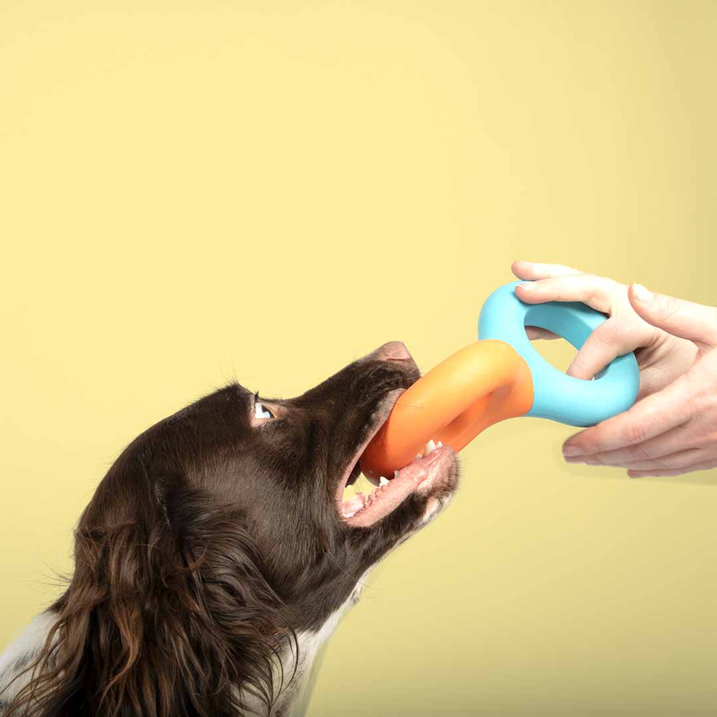 Hondenspeeltje DOODLE - blauw / oranje