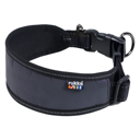 Luminous Soft Collar