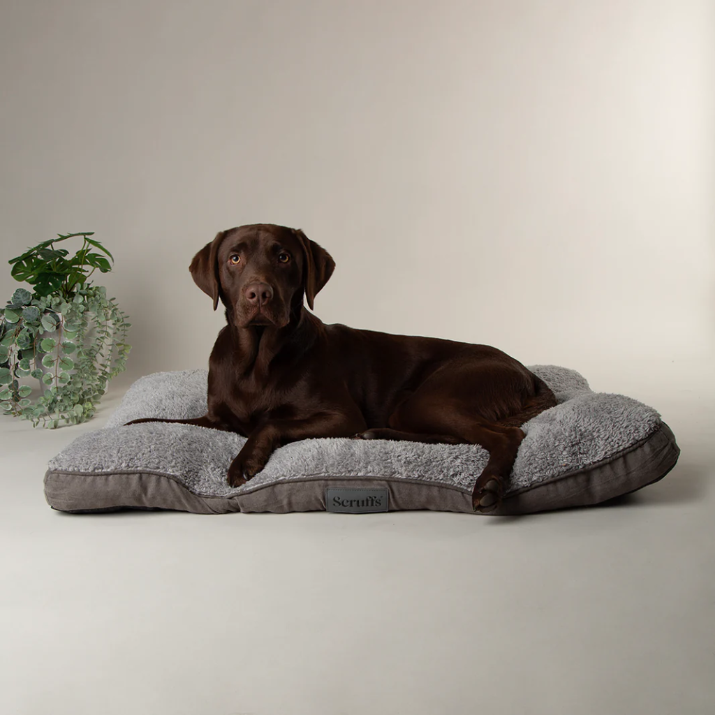 Cosy Mattress (Karamel, M: 82x58 cm)