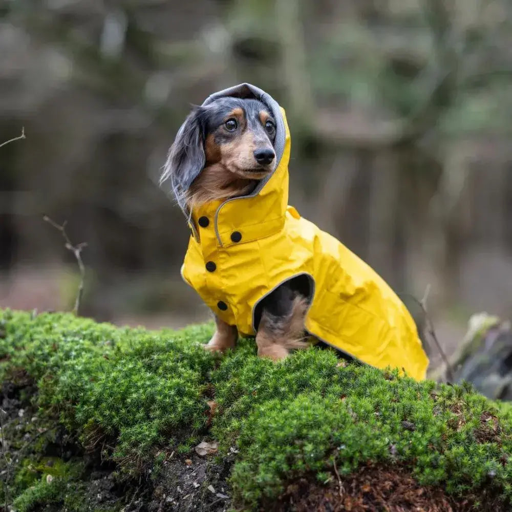 Rukka Pets Stream Raincoat (Maat 30)