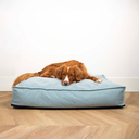 Matras Eden