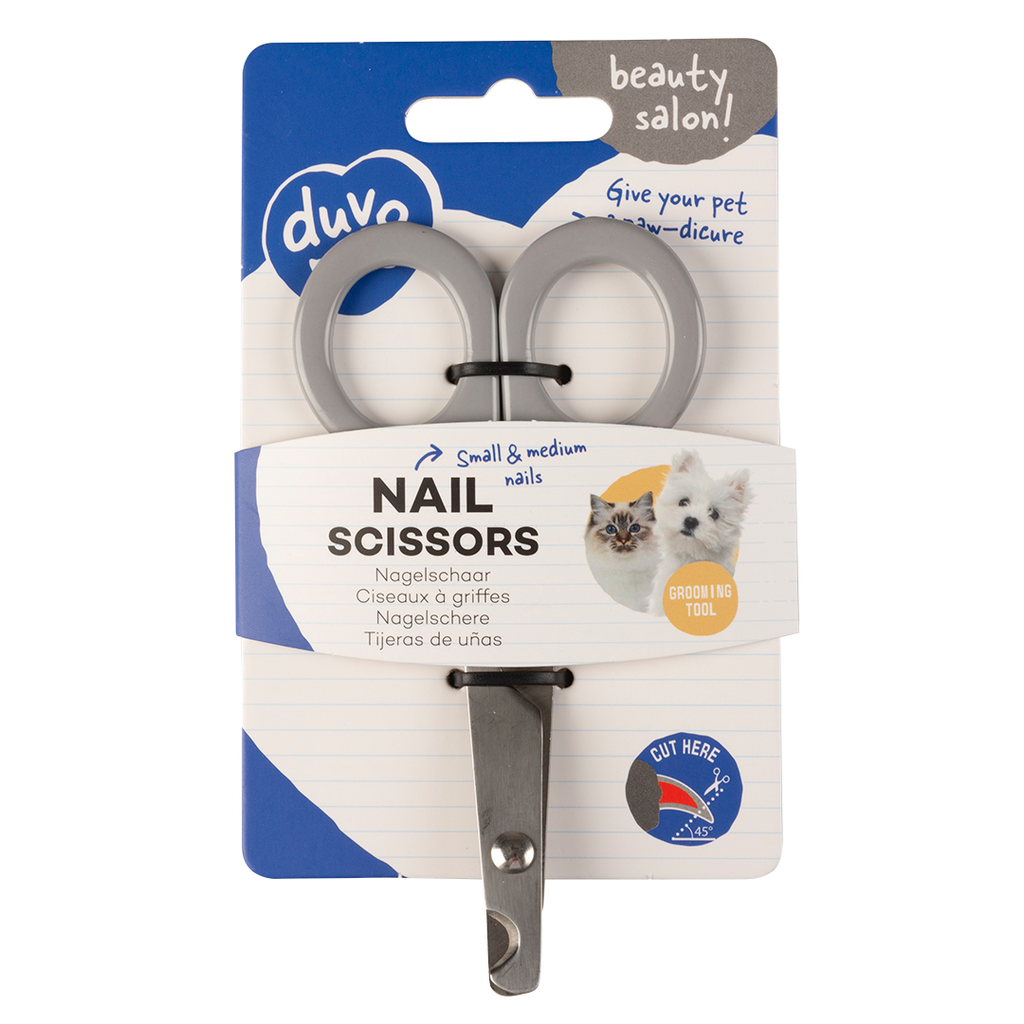 Nagelschaar