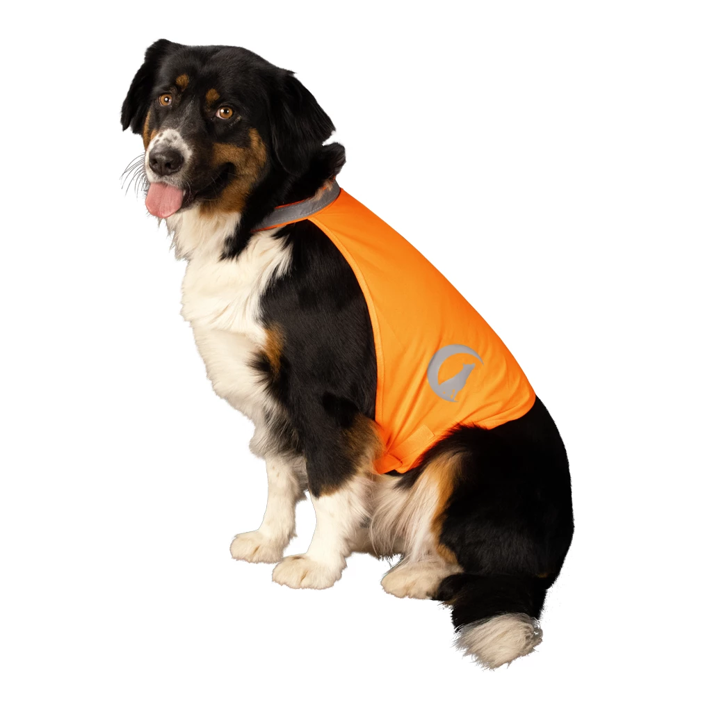 Nightwalk dog safety vest (Geel, S)
