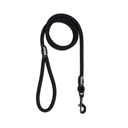 Basic Leash