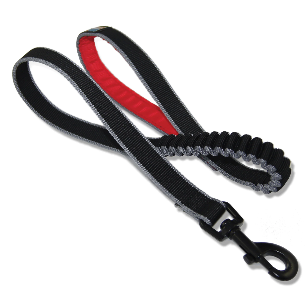Springback Leash (M: 76 cm)