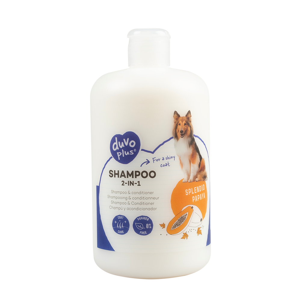 Shampoo 2-In-1 (250 ml)