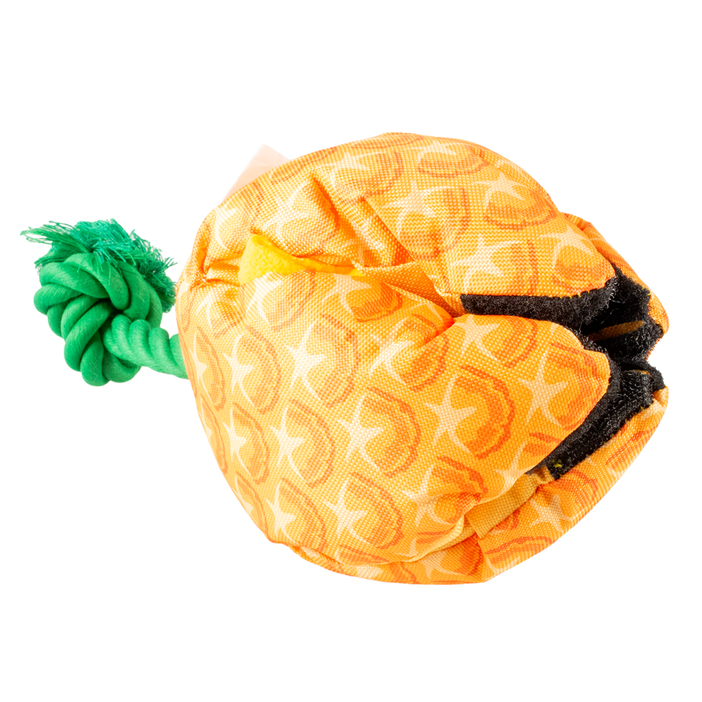 Snackspeeltje ananas