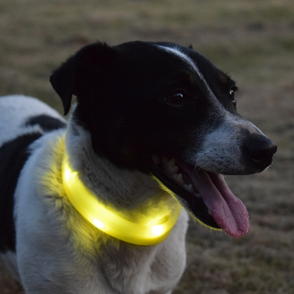 Flash light ring maxi USB Silicon (3 kleuren / 2 maten)