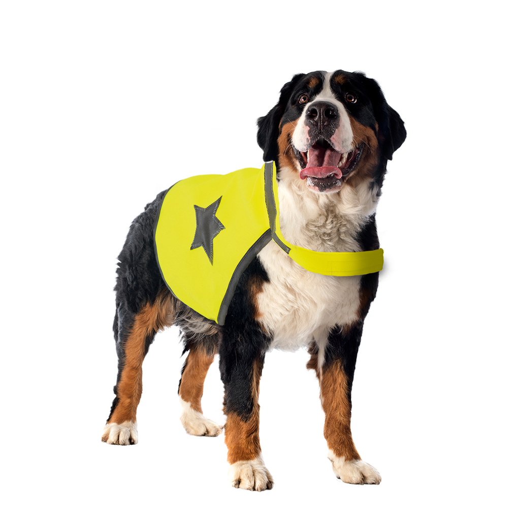 Veiligheidsjasje Fluo (meerdere maten)