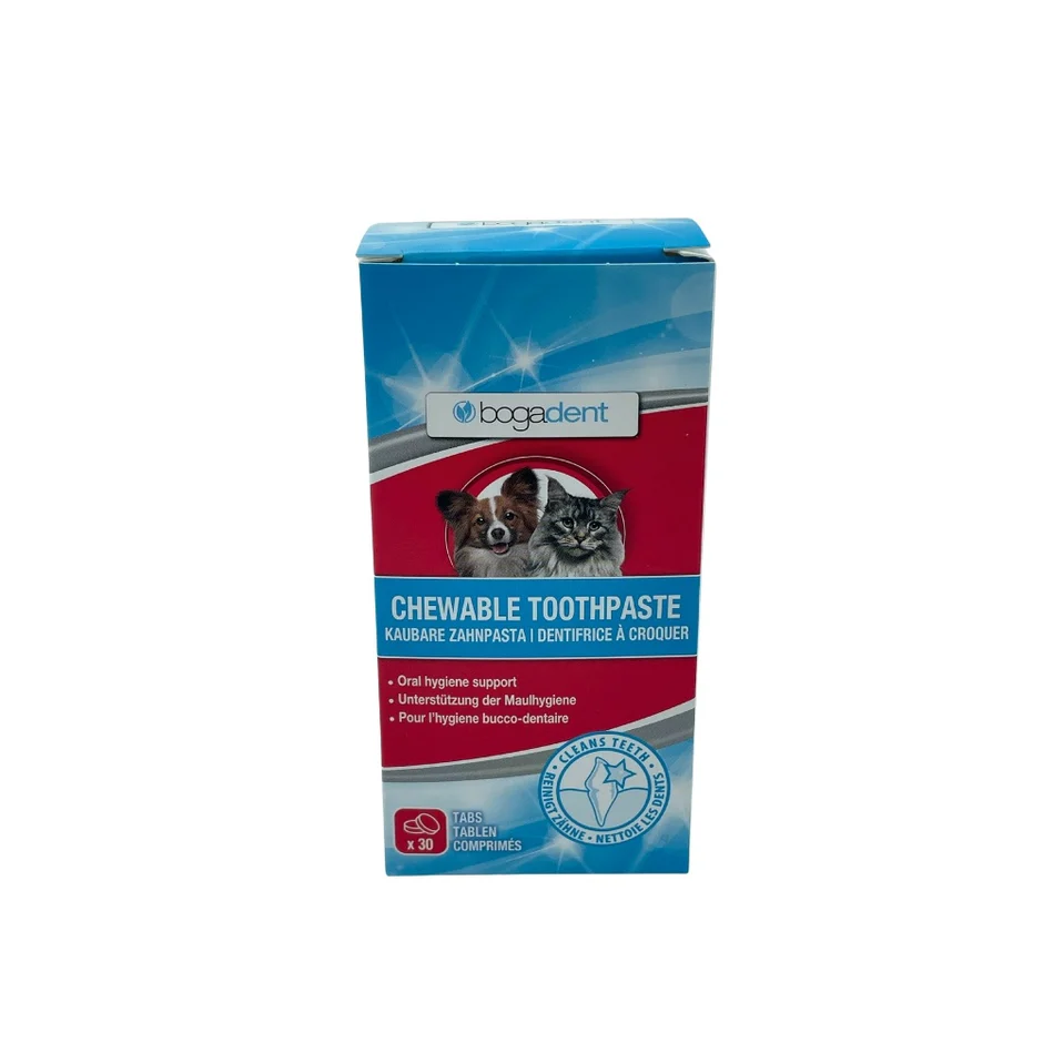 Bogadent kaubaren Zahnpasta (1 Packung)