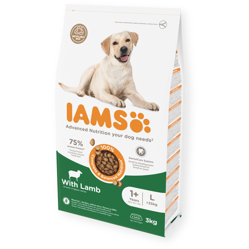 IAMS dog adult large lam