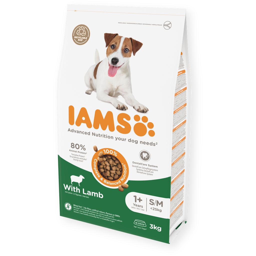 IAMS dog adult small/medium lam
