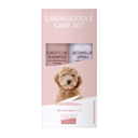 Labradoodle Care Set