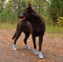 Rukka Pets Summer Shoes 2-pack