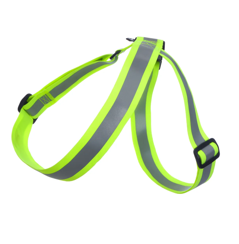 Rukka Pets Note Body Band