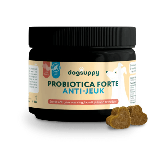 DogSuppy Anti-Jeuk Probiotica Forte (Regular 180 gr)