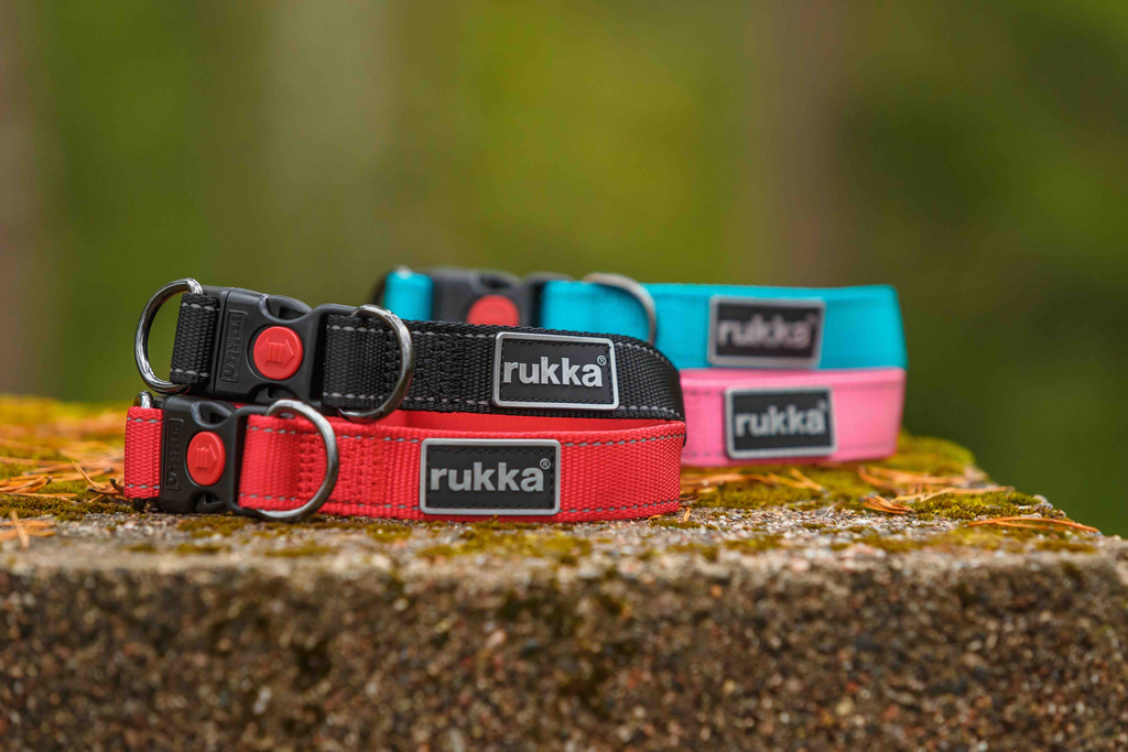 Rukka Pets Bliss collar (Turquoise, XS)