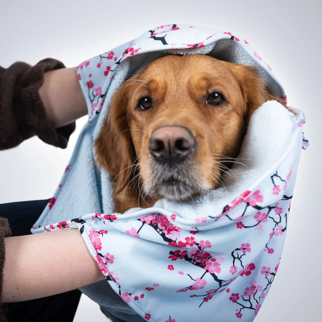 Dog Towel - Cherry Bloom