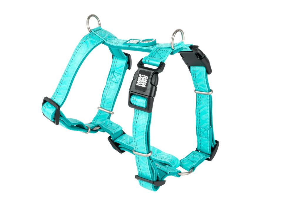 GOTCHA! Smart ID Comfort H-Harness - Matrix 2.0 Turquoise (XS)