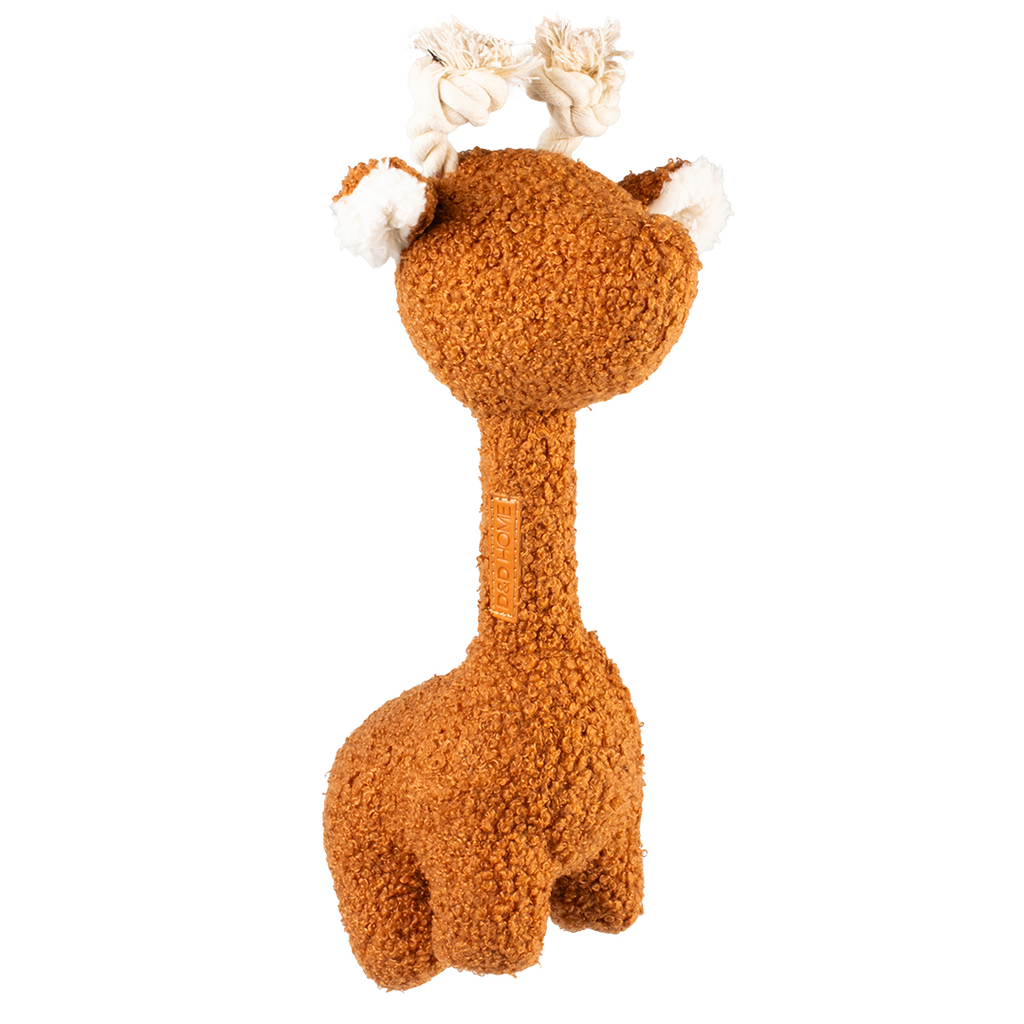 George teddy stof