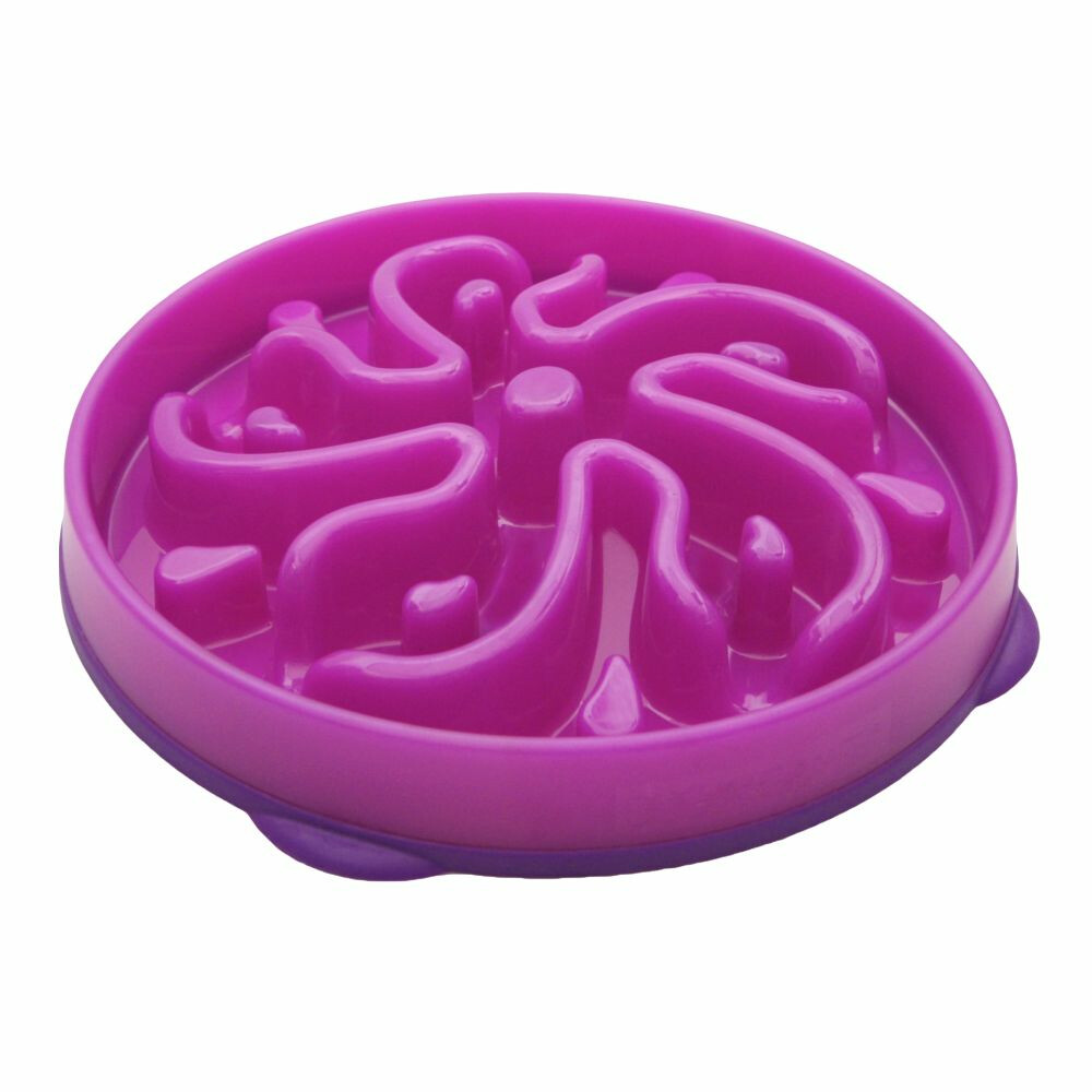 Outward Hound dog fun feeder flower