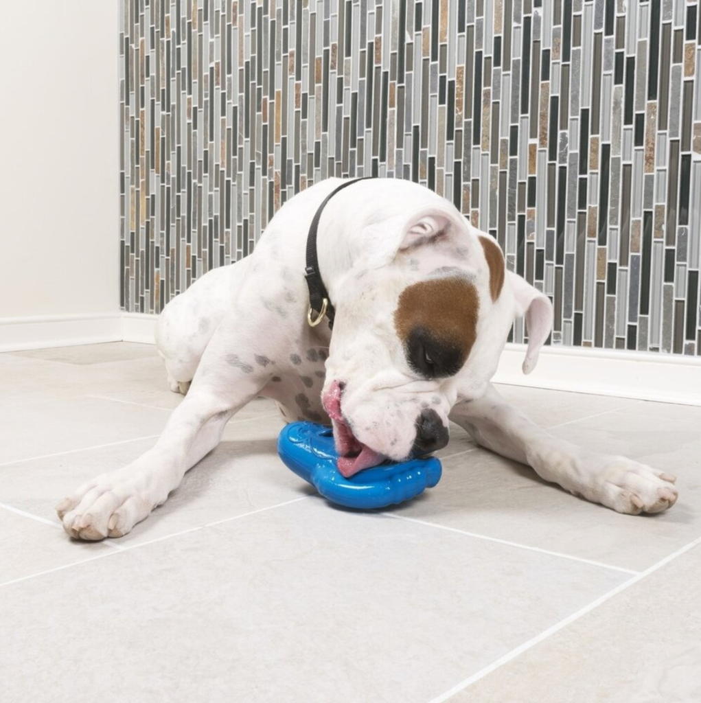 Chilly Penguin Freezer Toy