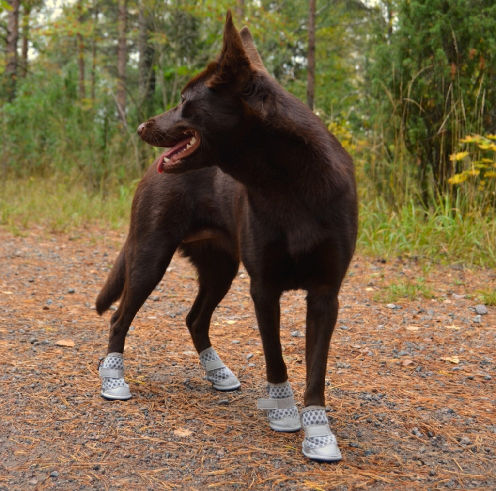 Rukka - Light Path Shoes