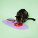 Eetkom FUNKY FEEDING - paars / rood