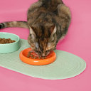 Eetkom FUNKY FEEDING - groen / oranje