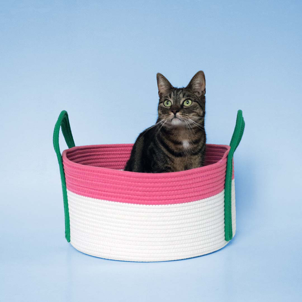 Kattenmand BINGE Roze/groen